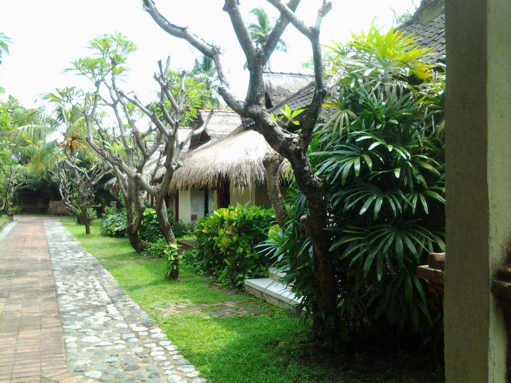 Hotel Seaside Lovina Exterior photo